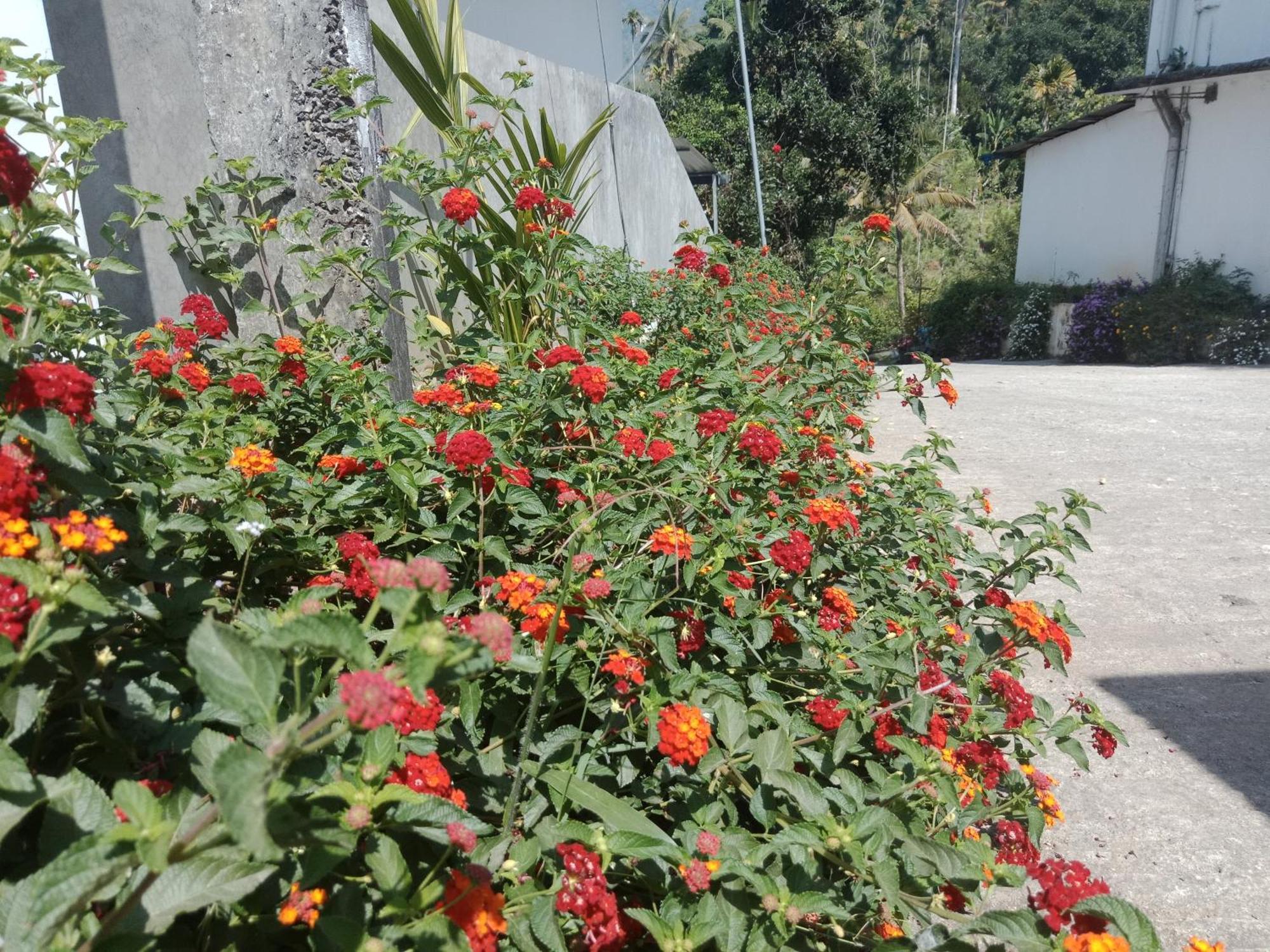 Homestay New Serene Mountains Munnar Anachal